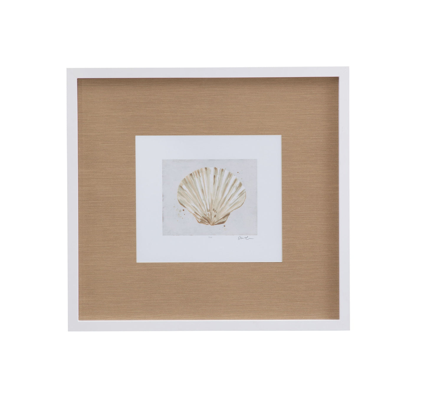 Neutral Shell Fresco IV Framed Print - Light Brown / White