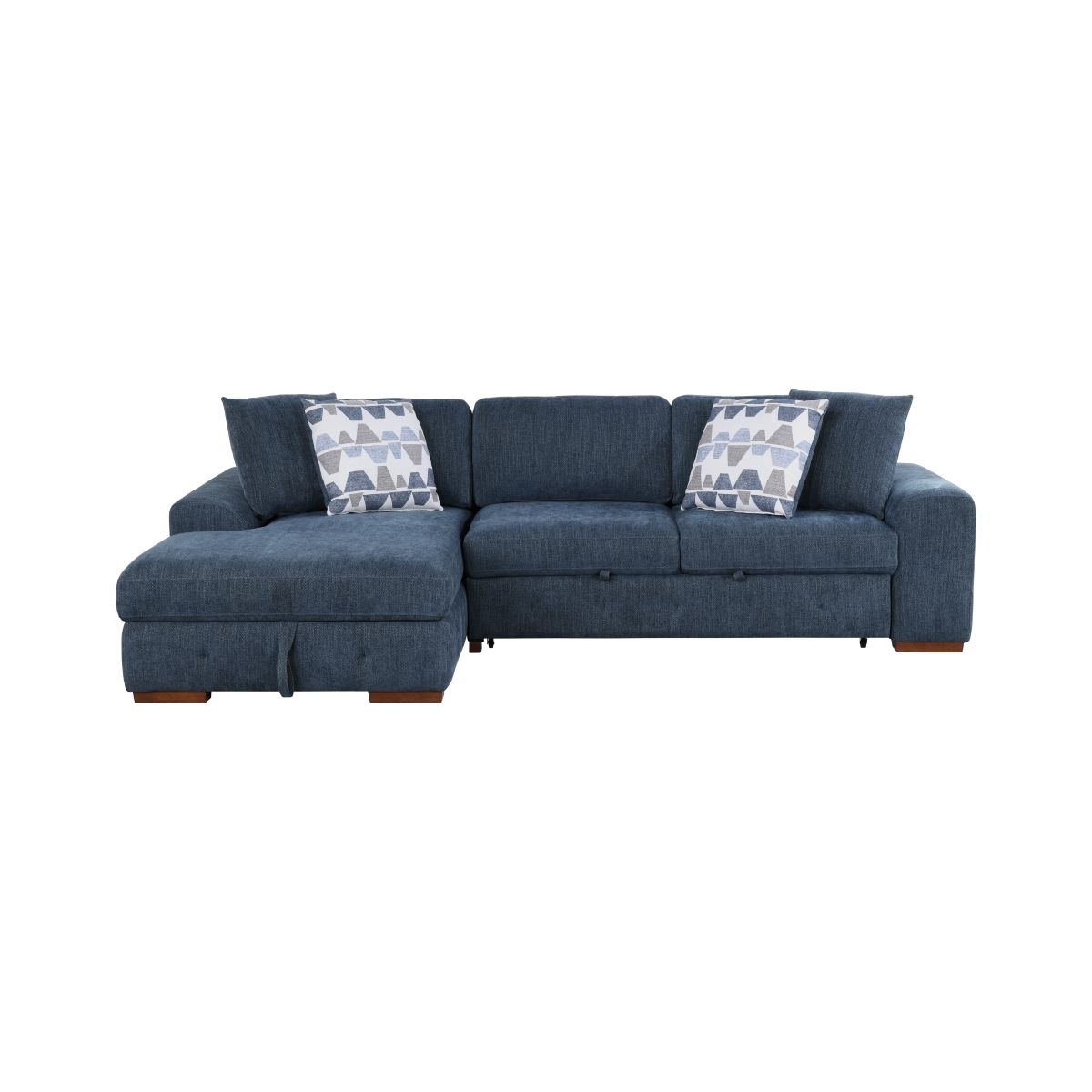Raife 2-Piece Sectional with Left Chaise and Pull-out Bed