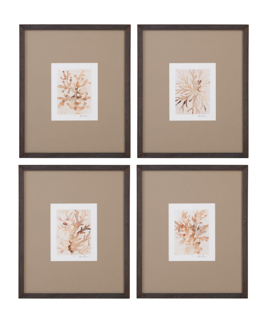 Parchment Coral Framed Print (Set of 4) - Brown