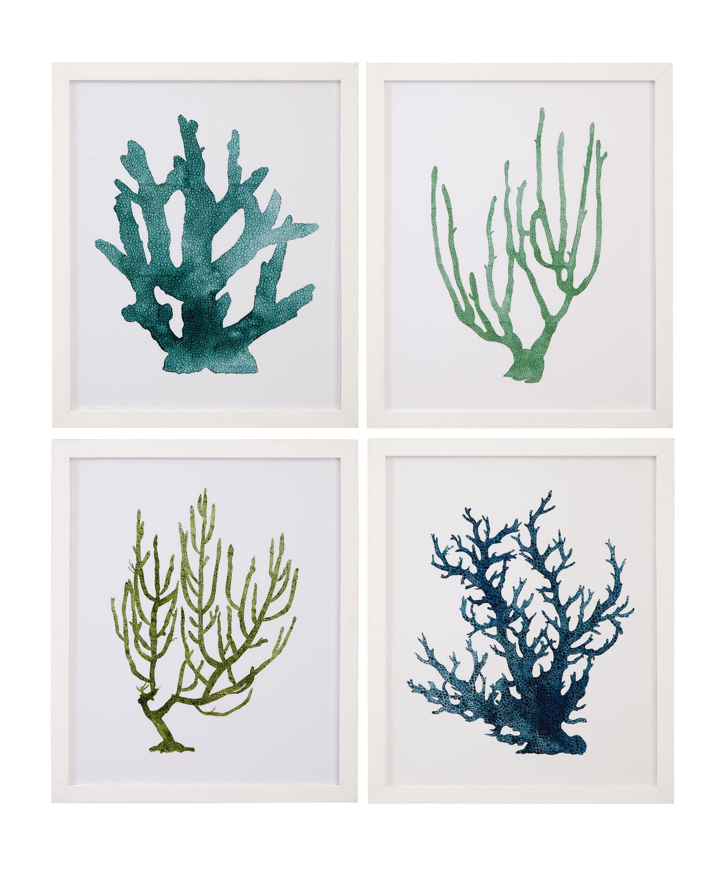 Coral Souvenirs III Framed Print - Green