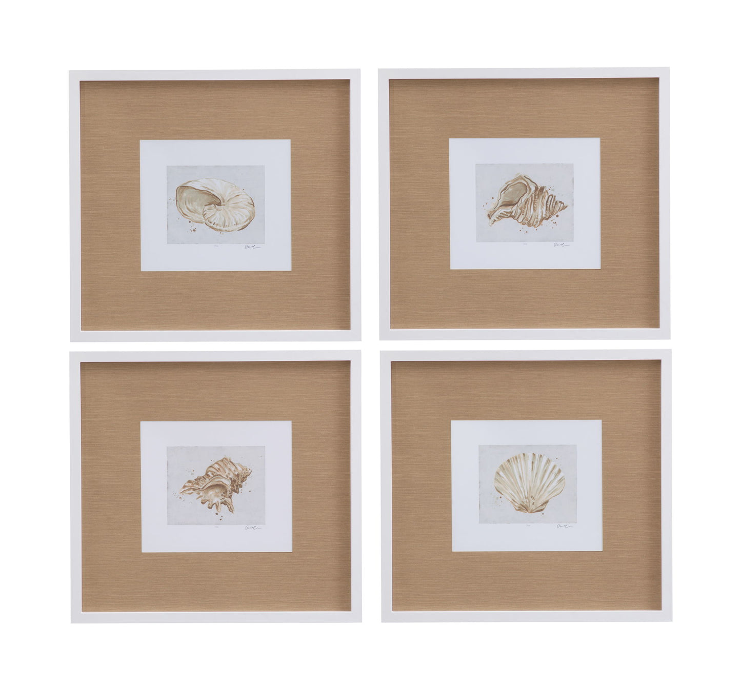 Neutral Shell Fresco I Framed Print - Light Brown / White