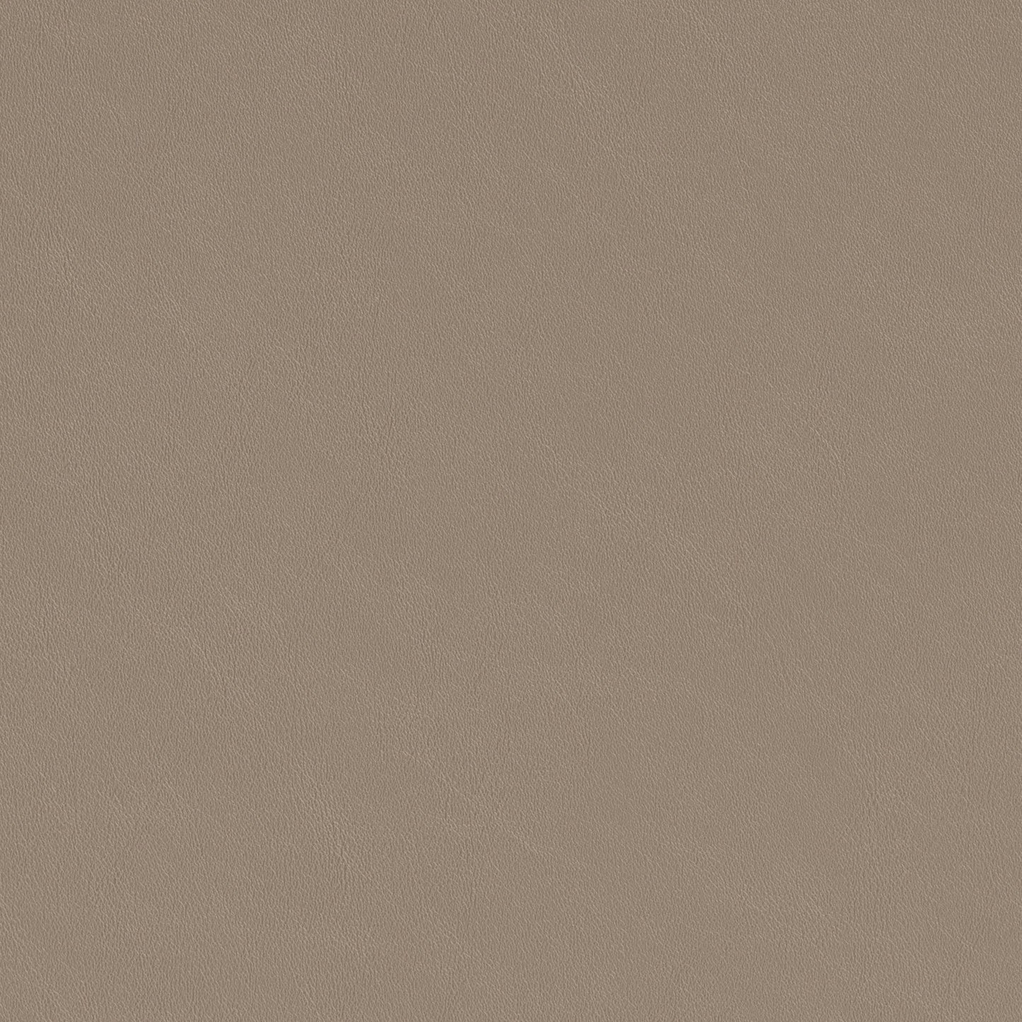 Ruge - Barstool (Set of 2) - Beige