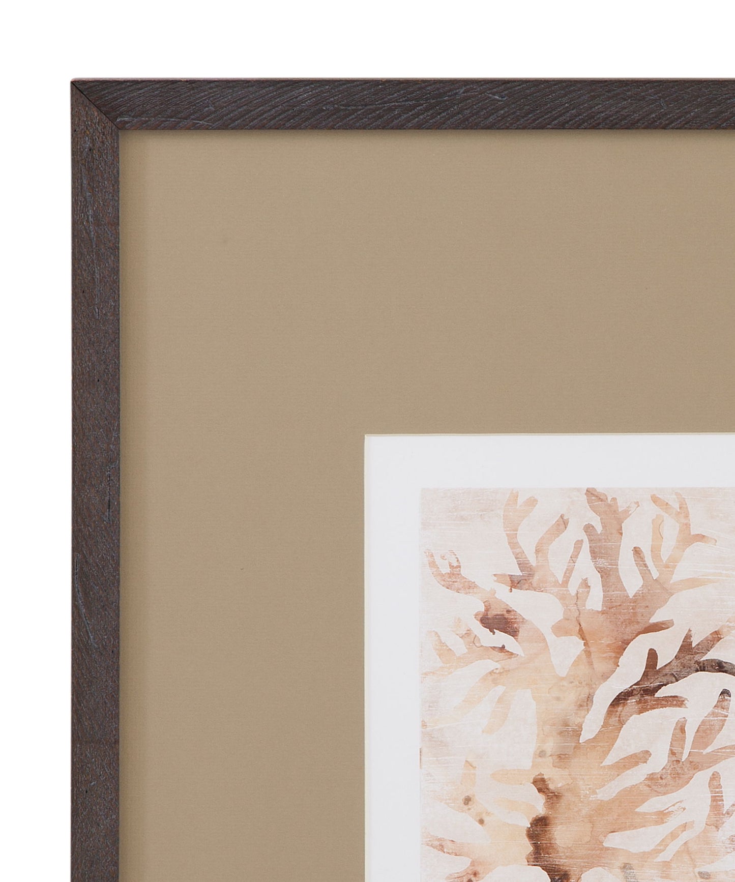 Parchment Coral III Framed Print - Brown