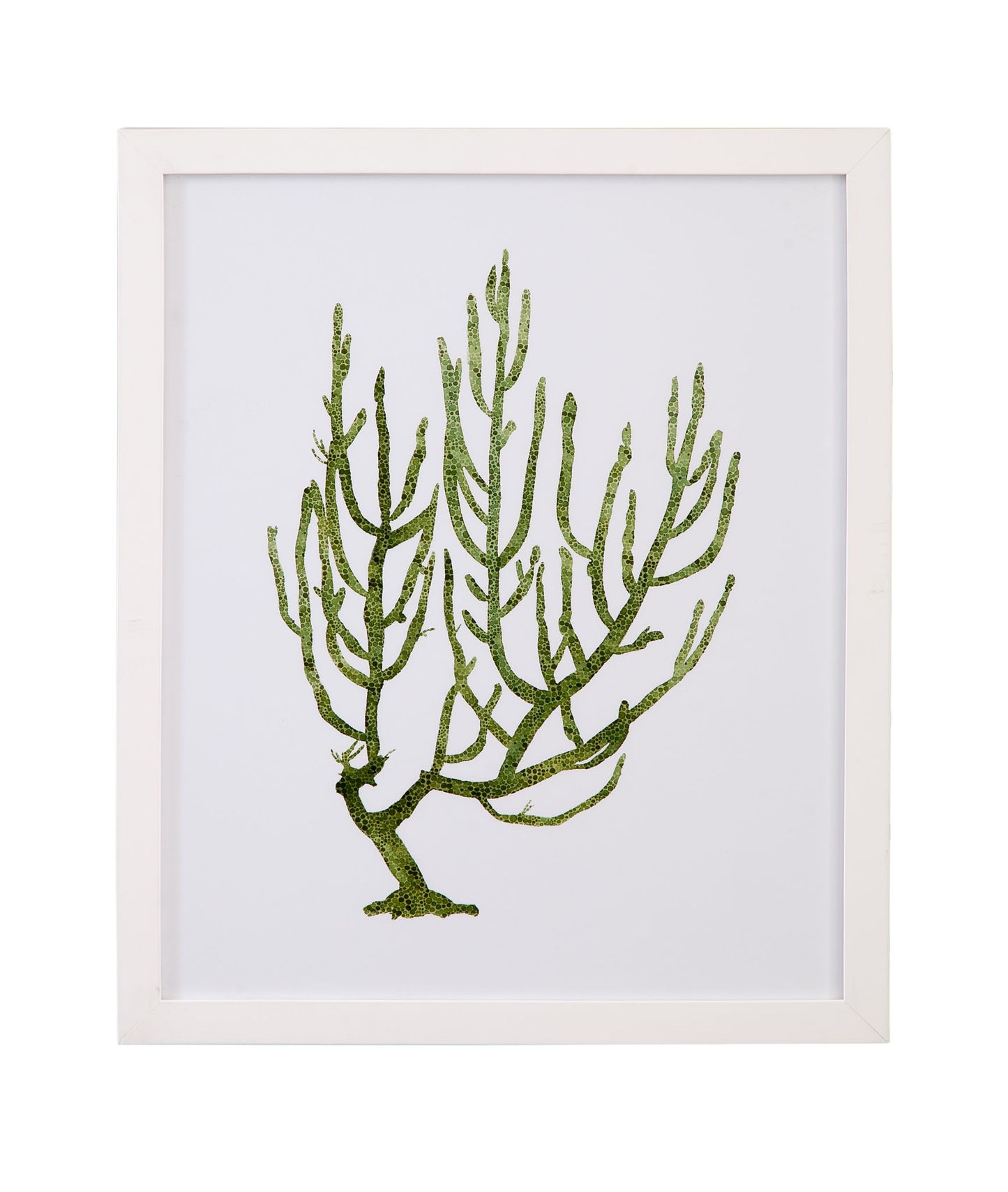 Coral Souvenirs III Framed Print - Green