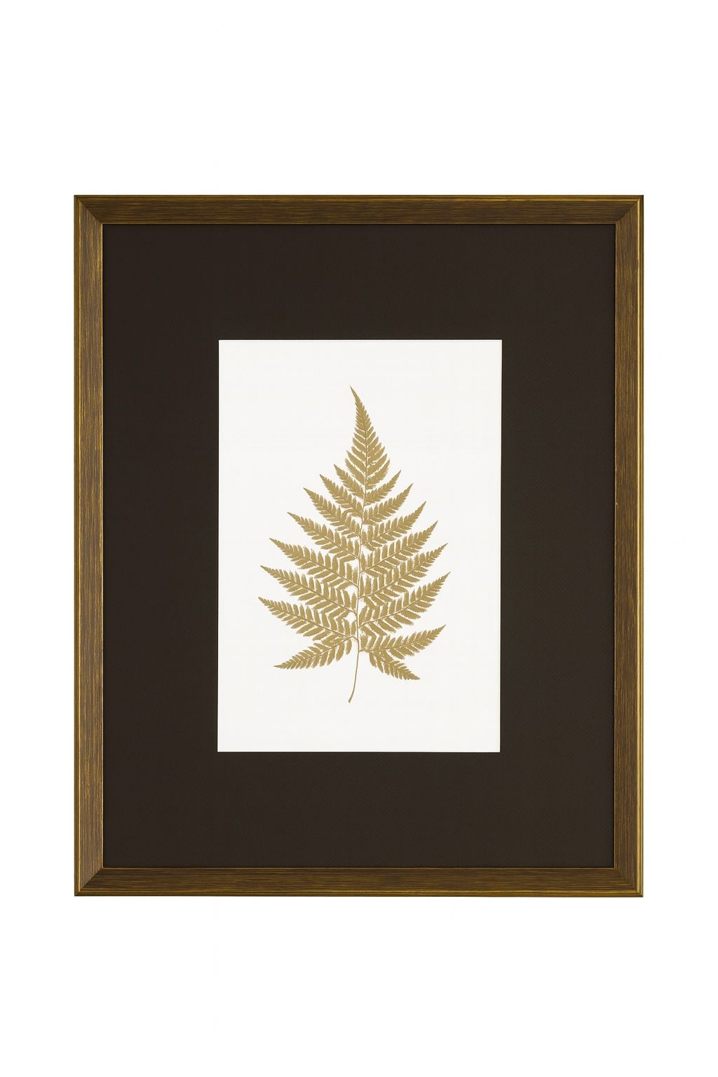 Antique Fern V Framed Print - Gold / White / Brown
