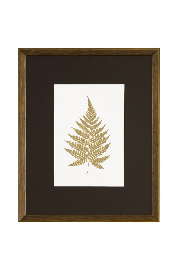 Antique Fern V Framed Print - Gold / White / Brown