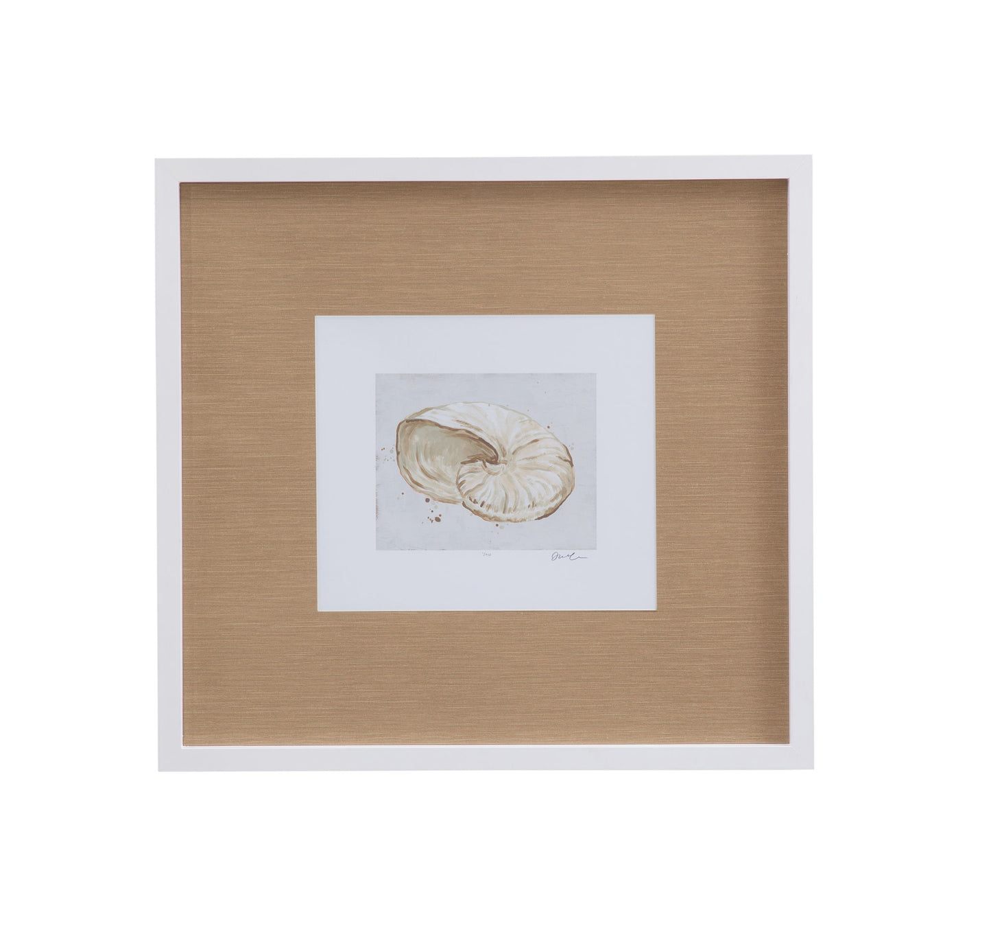 Neutral Shell Fresco I Framed Print - Light Brown / White