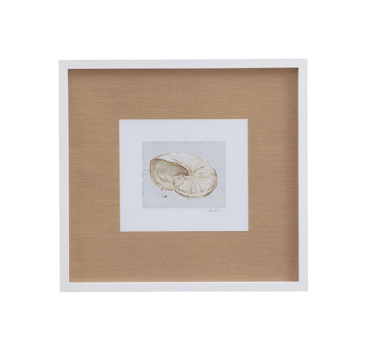 Neutral Shell Fresco I Framed Print - Light Brown / White