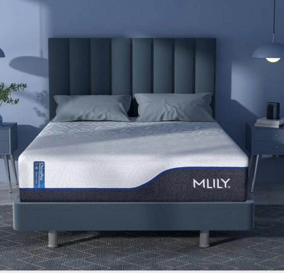 ChiroPro 3.0 Plush Mattress