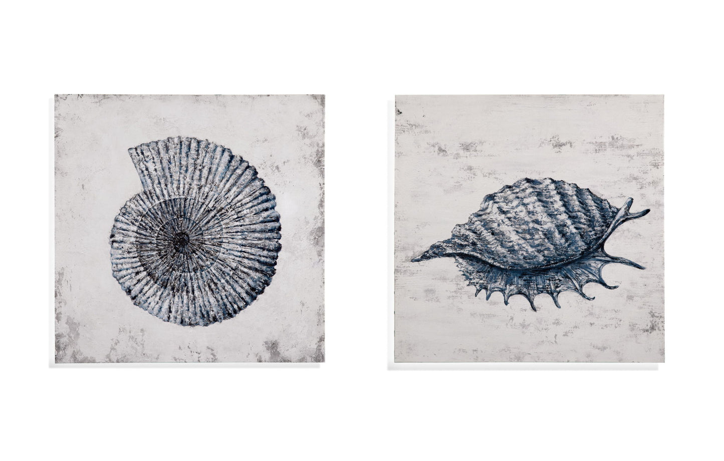 Shell I Canvas Art - Blue / Gray