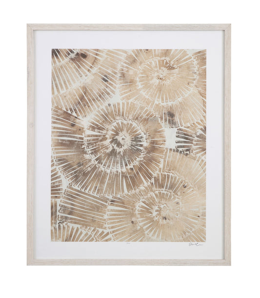 Fossil Nautilus II Framed Print - Brown