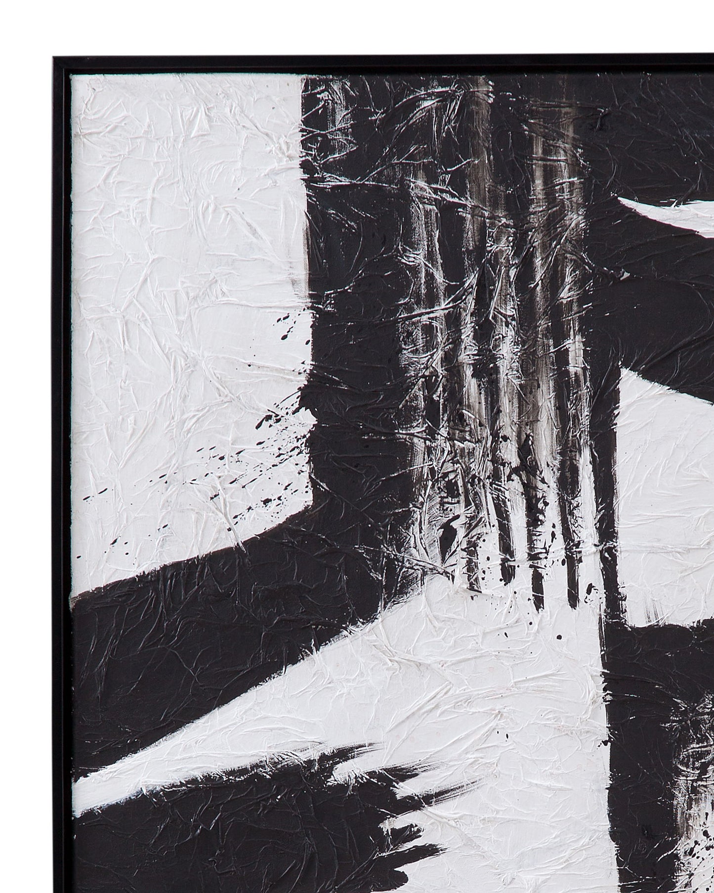 Black And White Canvas Art (Set of 2)