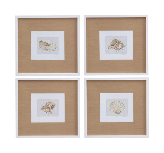 Neutral Shell Fresco Framed Print (Set of 4) - Light Brown / White