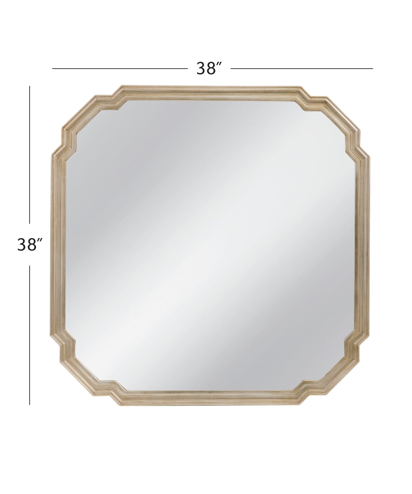 Mimosa - Wall Mirror - Ant Silver Leaf