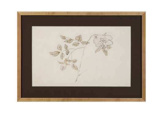 Delicate Rose II Framed Print - Cream