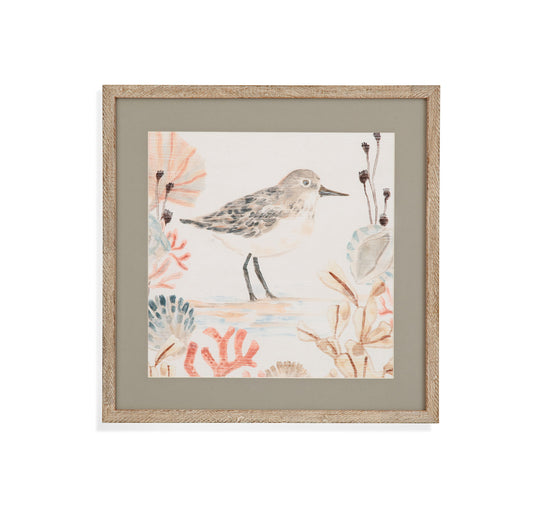 Shell Peppers I Framed Print - White
