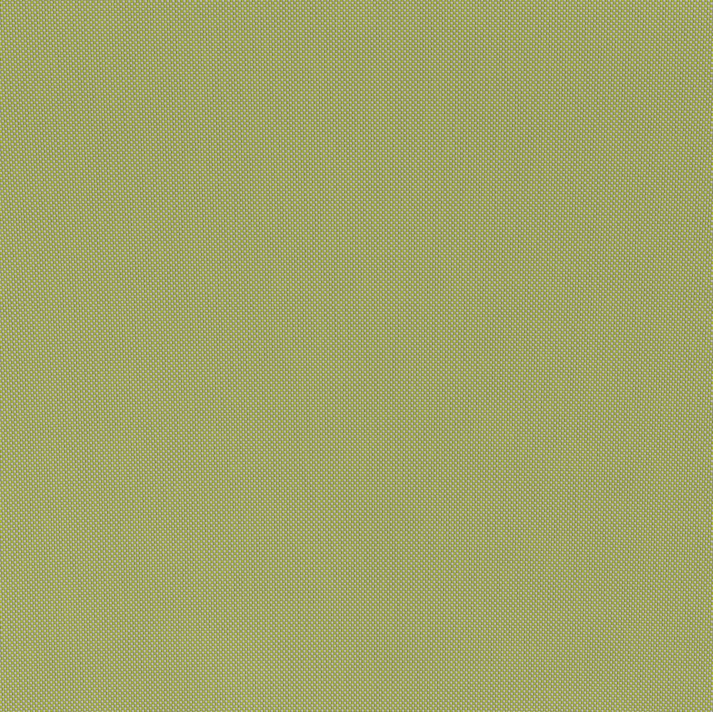Lychee - Chaise Lounge - Green / White