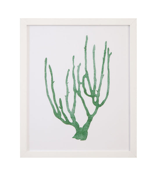 Coral Souvenirs II Framed Print - Green