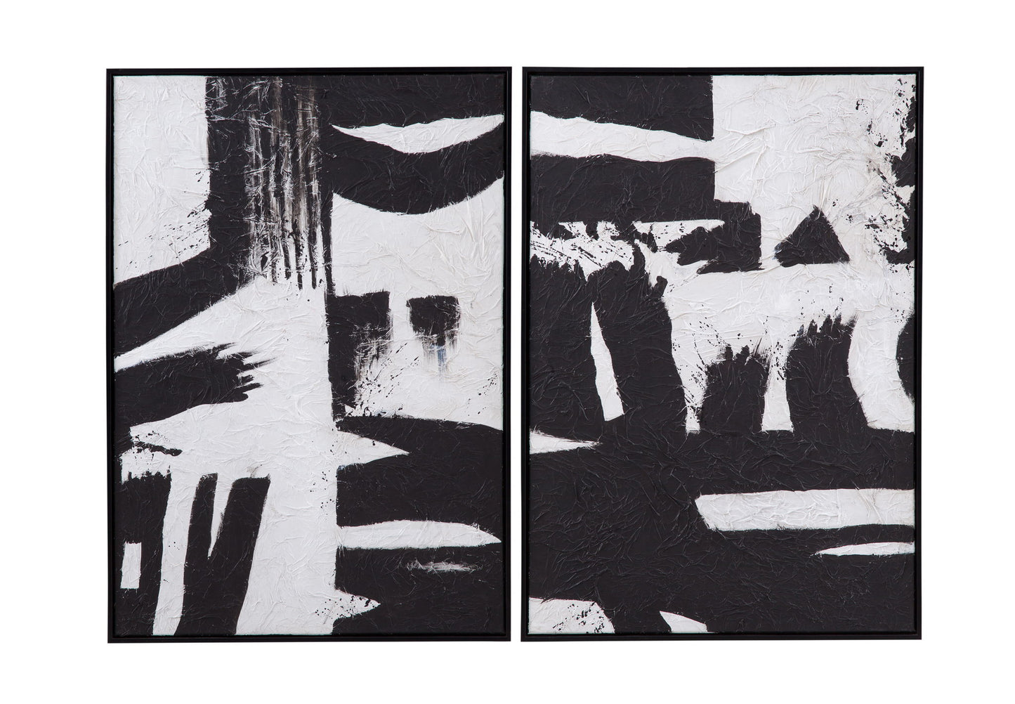Black And White Canvas Art (Set of 2)