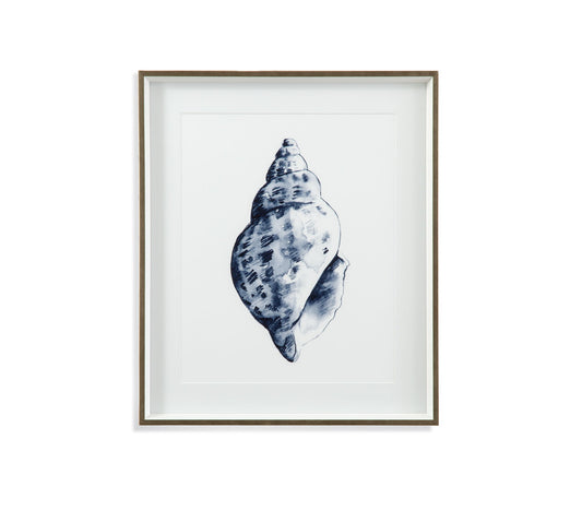 Quiet Conchin Indigo II Framed Print - Blue
