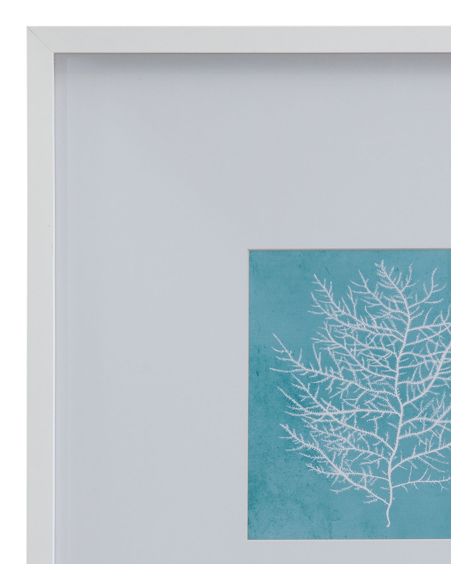 White Coral On Blue II Framed Print - Blue / White