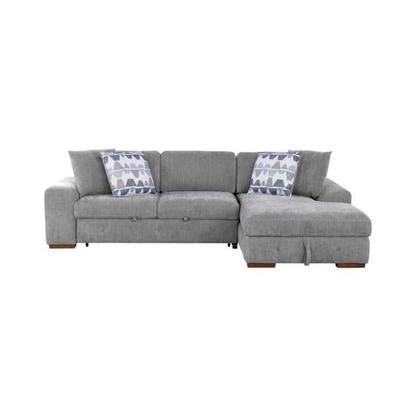Raife 2-Piece Sectional with Right Chaise and Pull-out Bed