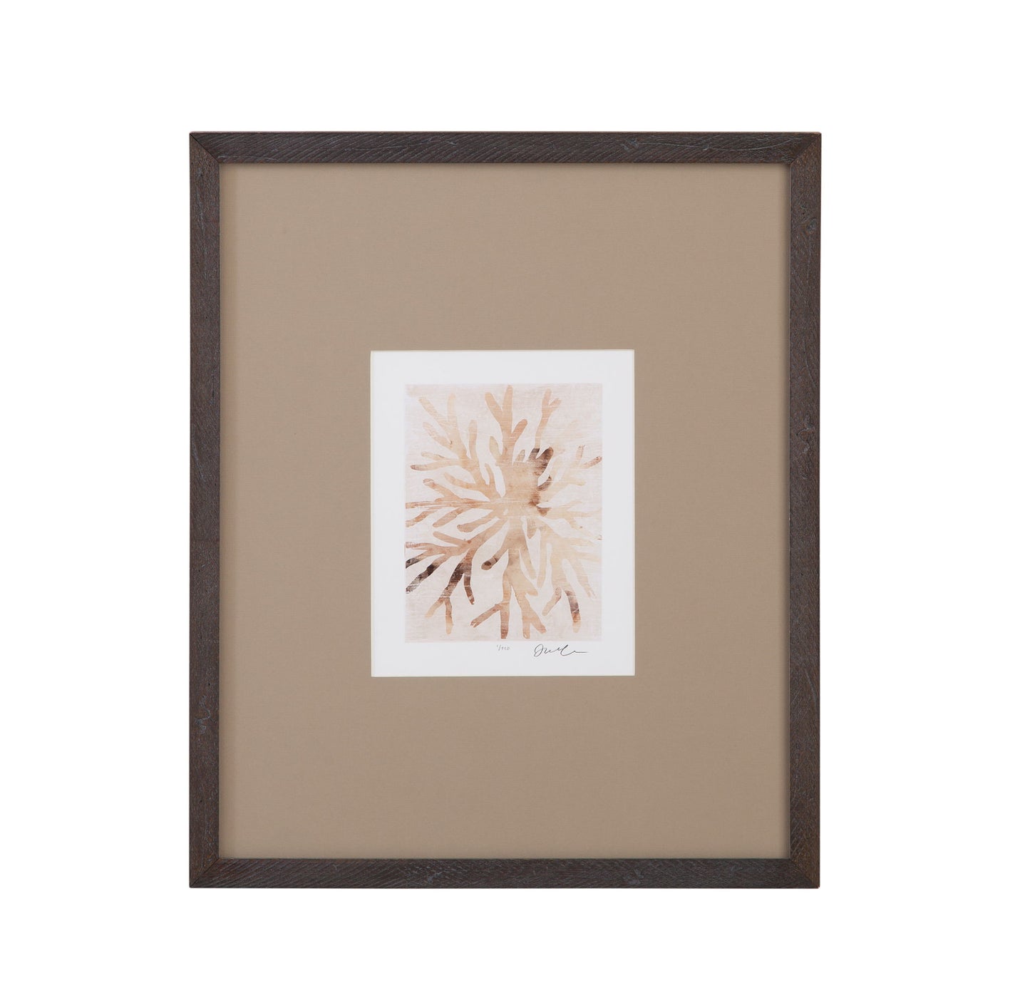 Parchment Coral II Framed Print - Brown