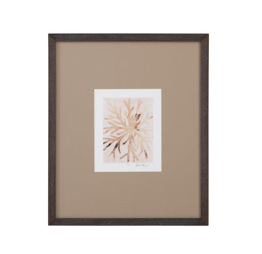 Parchment Coral II Framed Print - Brown