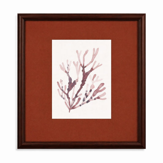 Spotted Coral Framed Print - Red