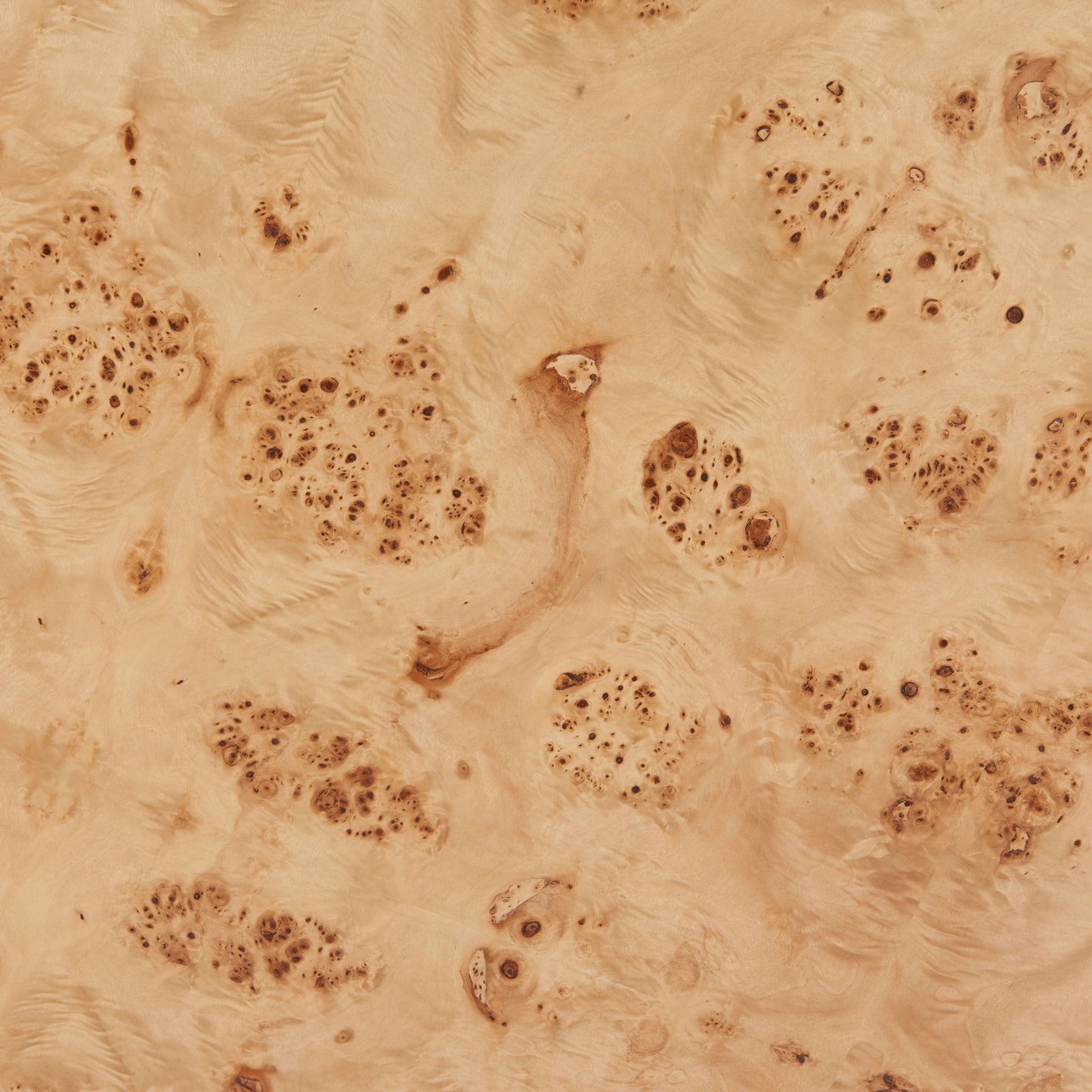 Burl - 2 in 1 Table - Natural