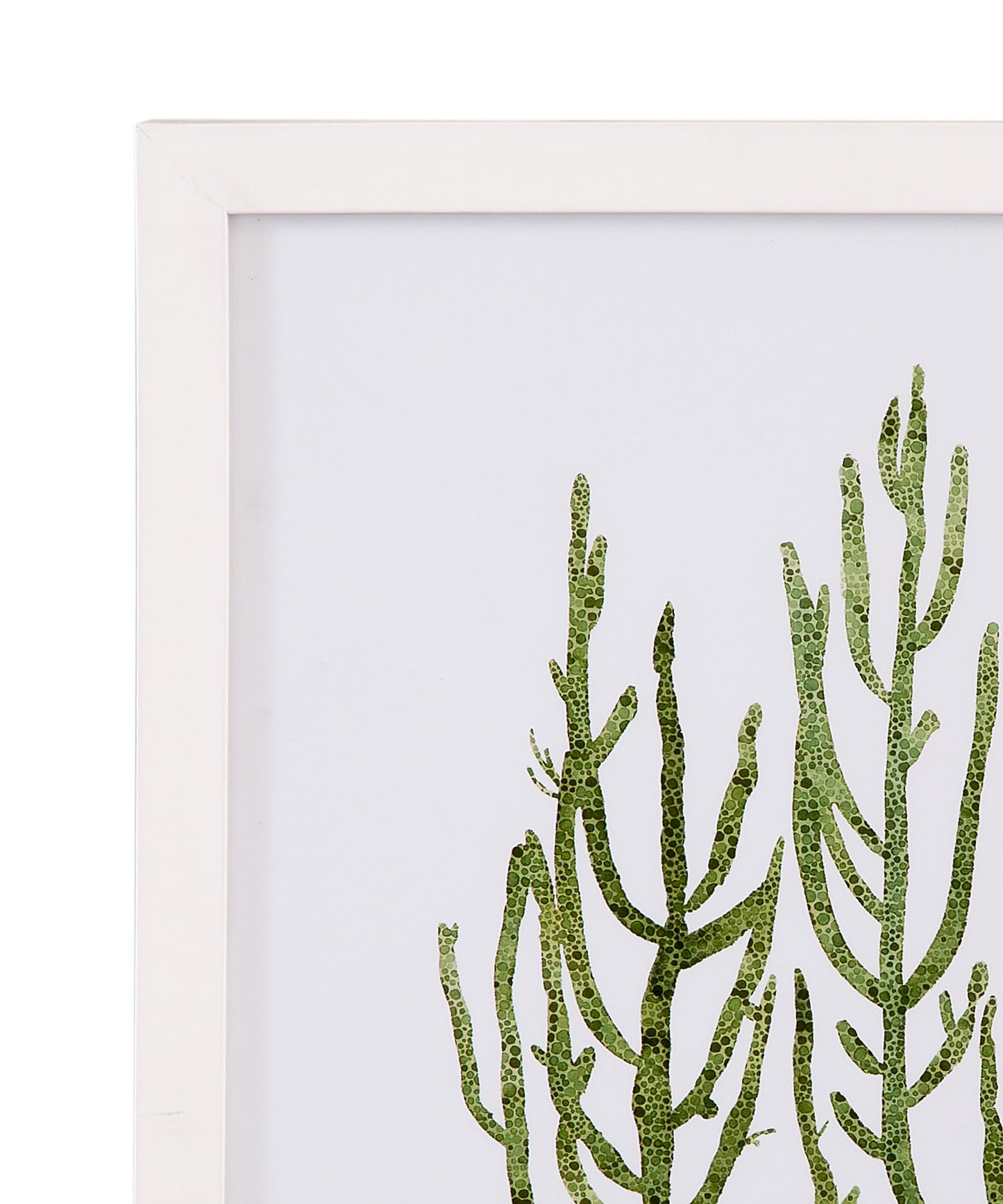Coral Souvenirs III Framed Print - Green