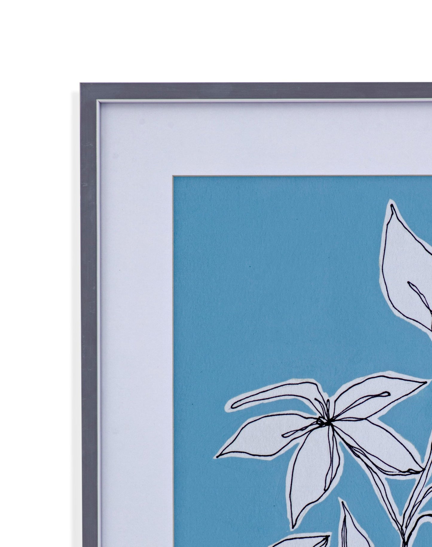Botanic Drawing I Framed Print - Blue