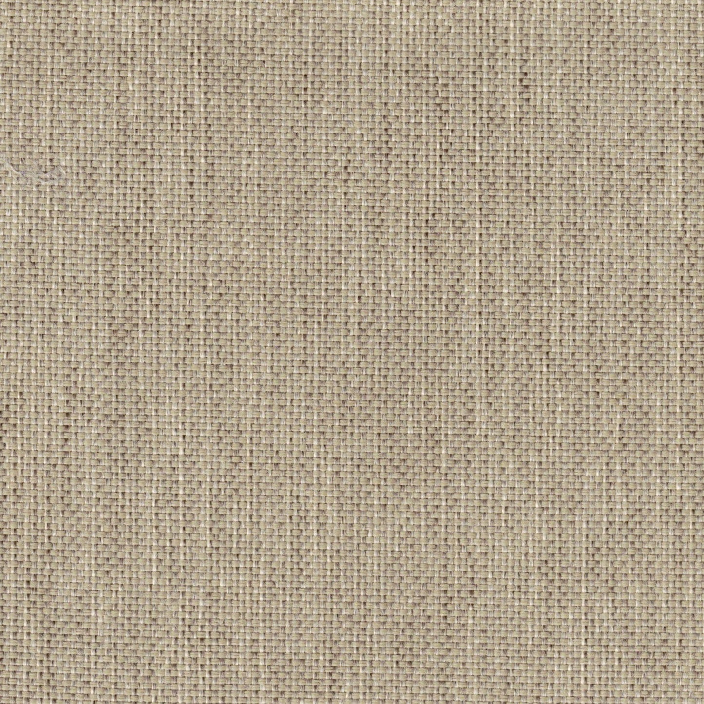 Astoria - Daybed - White / Dark Brown