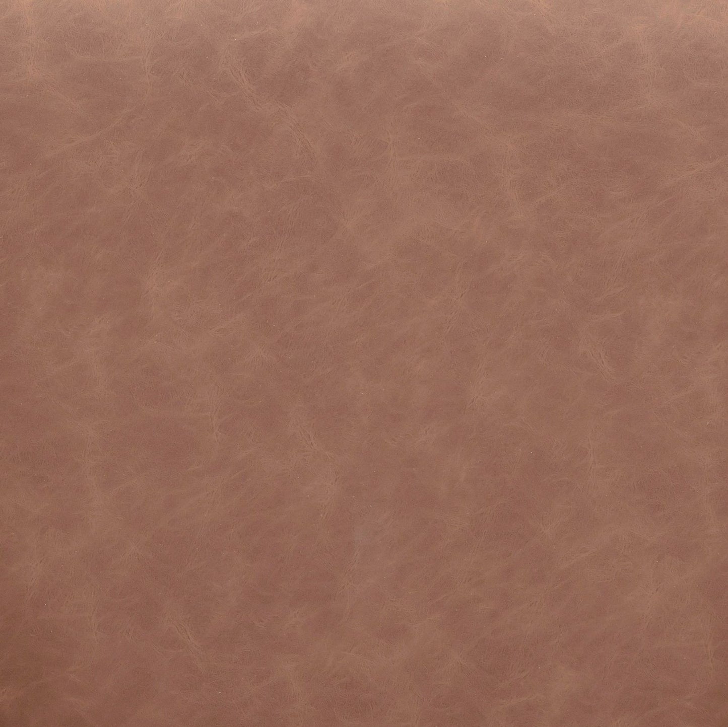 Vina - Vegan Leather Dining Chair