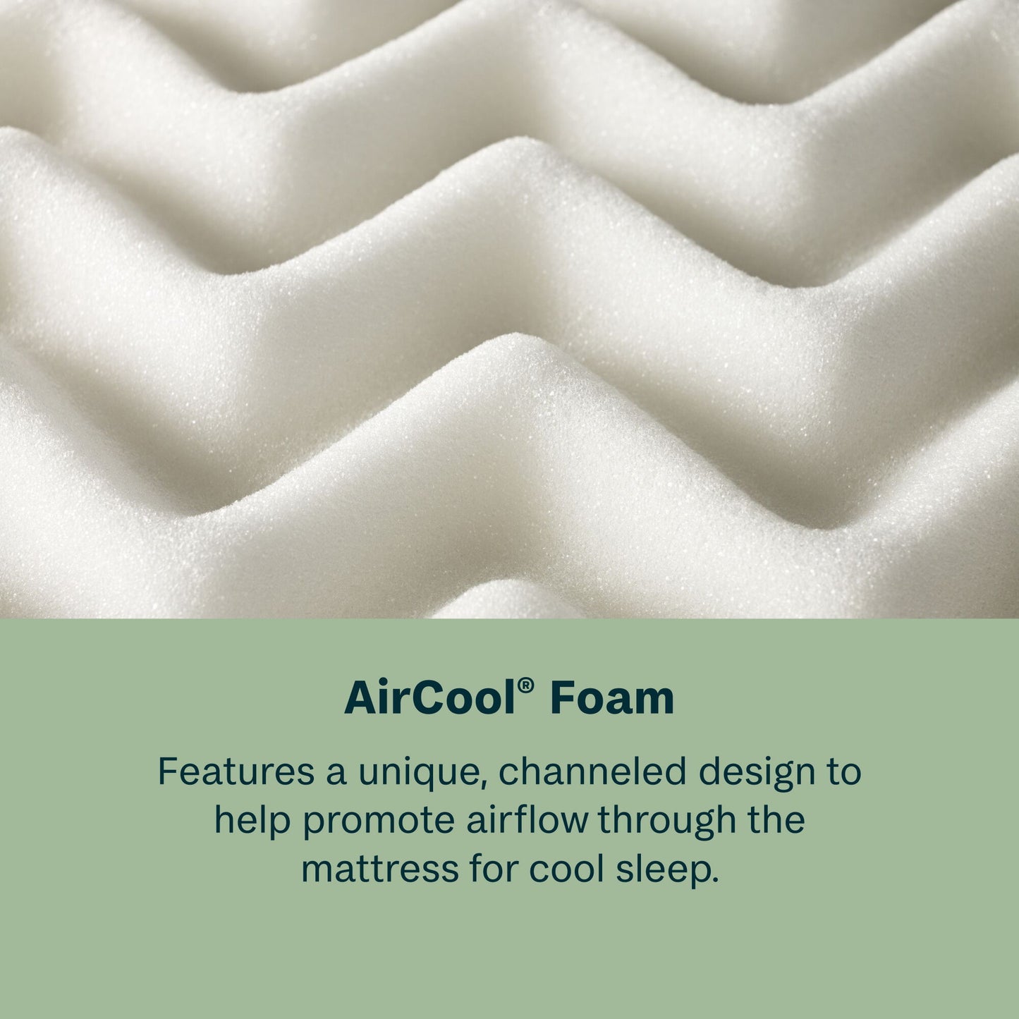 Dream Weaver - 11.5" Firm Mattress