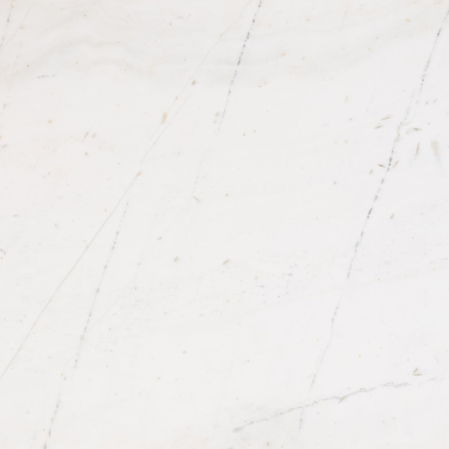 Obeah - Desk - White / Walnut
