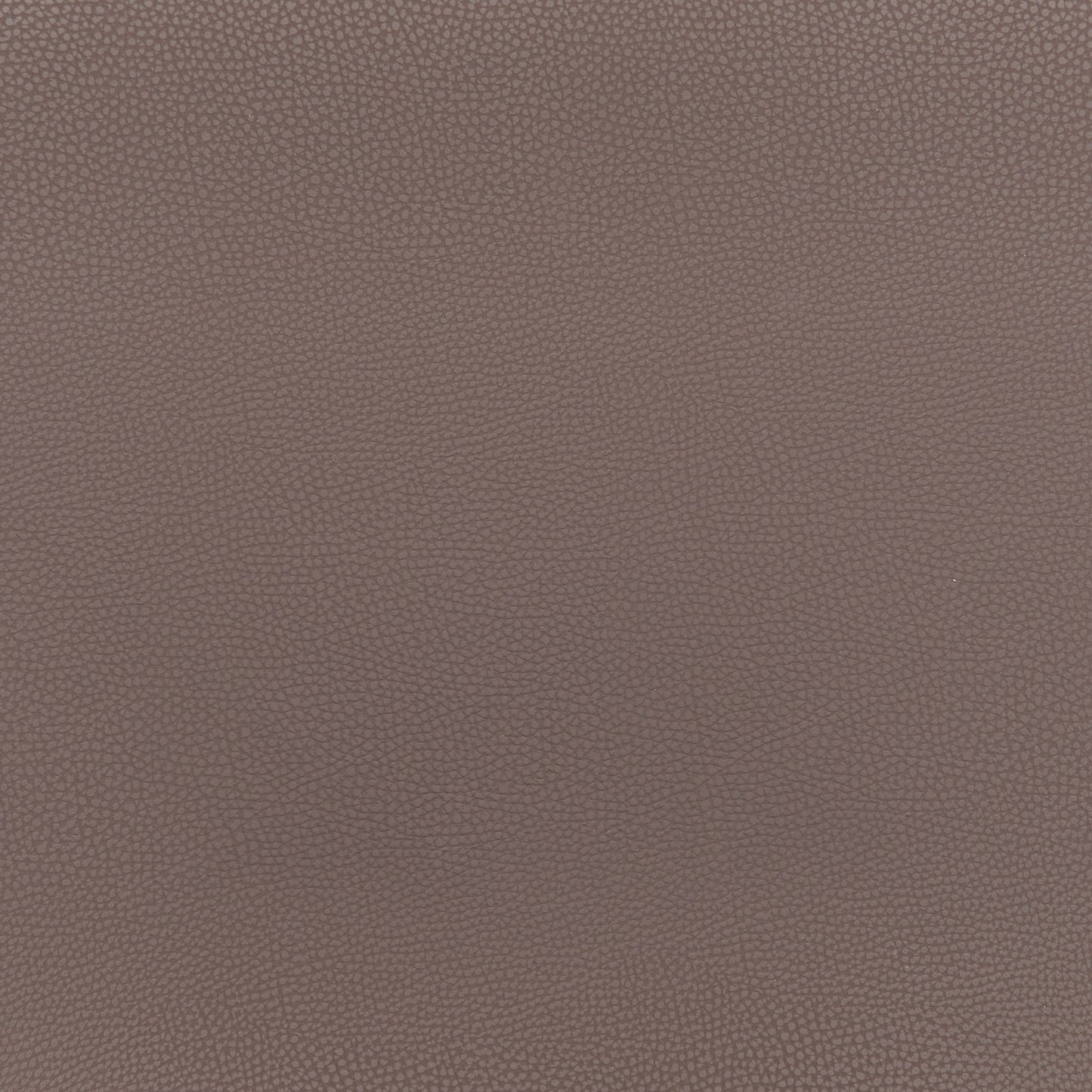 Desi - Barstool (Set of 2)