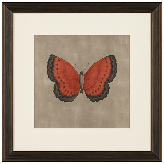 Papilio Luxe Terra Framed Print - Red / Beige